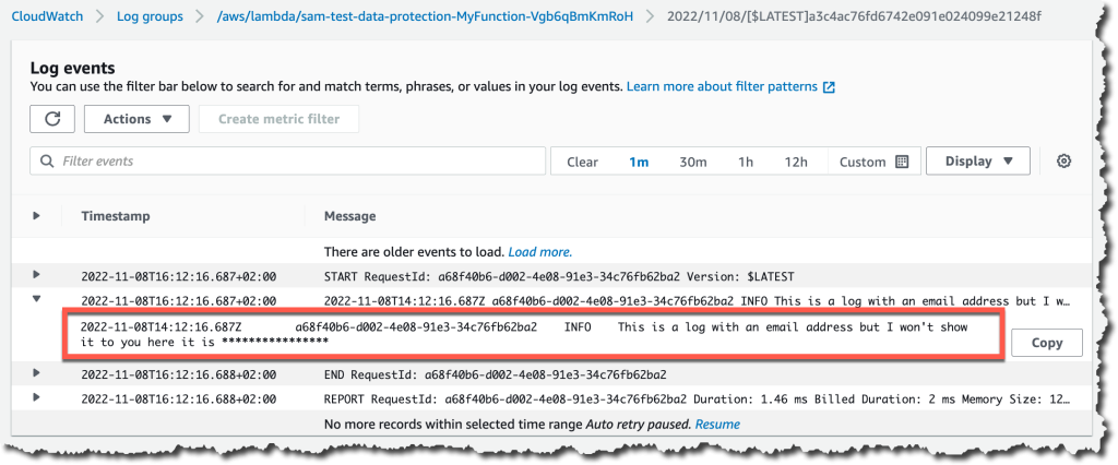 Example of log file with masked data