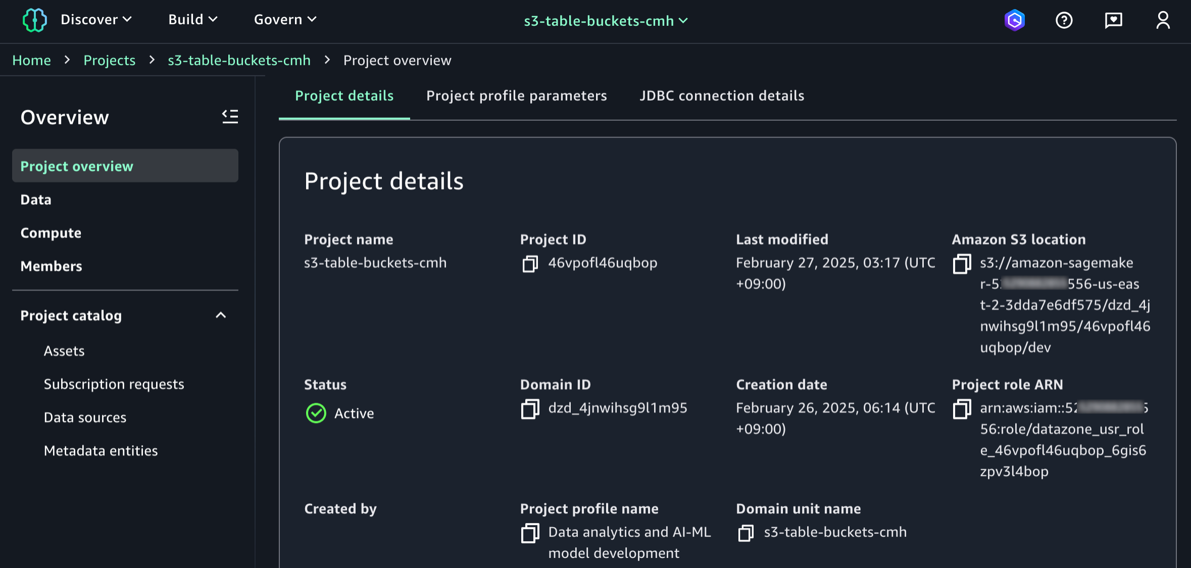 3. Project details in SageMaker Unified Studio